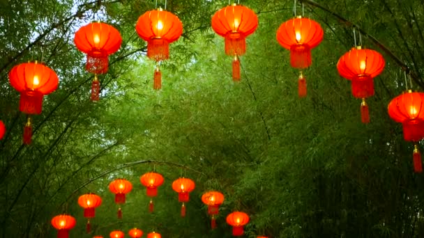 Rows of traditional chinese style red lanterns hanging on bamboo tree tunnel arch. — Stock Video