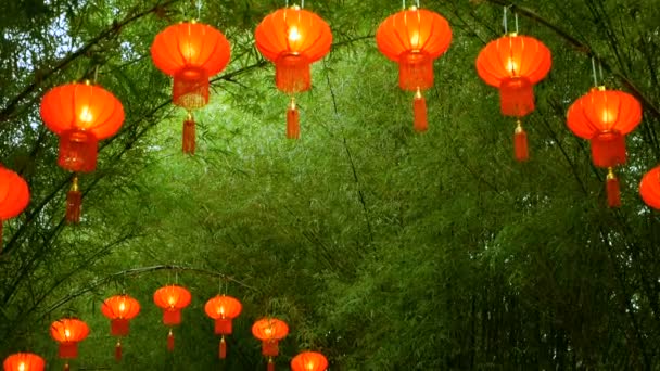 Linhas de lanternas vermelhas de estilo chinês tradicional penduradas no arco do túnel da árvore de bambu . — Vídeo de Stock