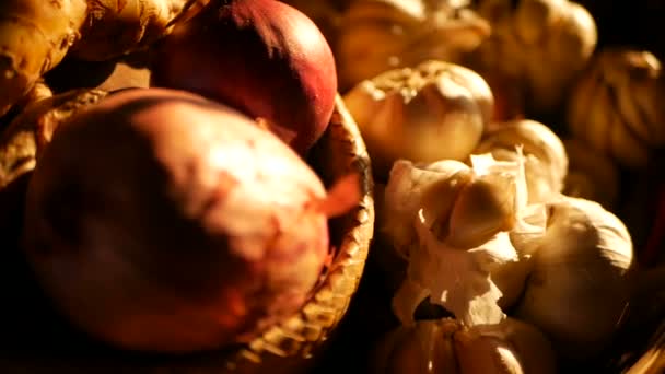 Organic vegetable palette in rays of sun. Vintage Rustic still Life of Shallots, Spices and Garlic — Stock Video