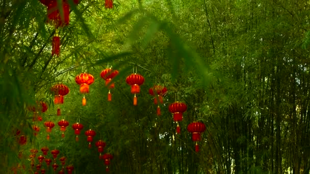 Σειρές των παραδοσιακή κινεζική στυλ κόκκινα φανάρια που κρέμονται στο τόξο σήραγγα δέντρο μπαμπού. — Αρχείο Βίντεο