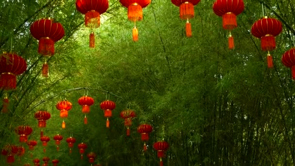 Filas de faroles rojos de estilo tradicional chino colgando del arco del túnel de bambú . — Vídeo de stock