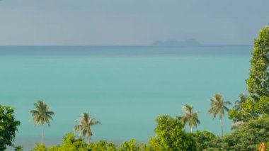 Rüzgara karşı hareket egzotik hindistancevizi palmiye ağaçları. Tropikal deniz manzara. Pastoral cennet ada plaj.