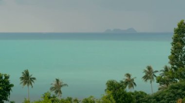Rüzgara karşı hareket egzotik hindistancevizi palmiye ağaçları. Tropikal deniz manzara. Pastoral cennet ada plaj.