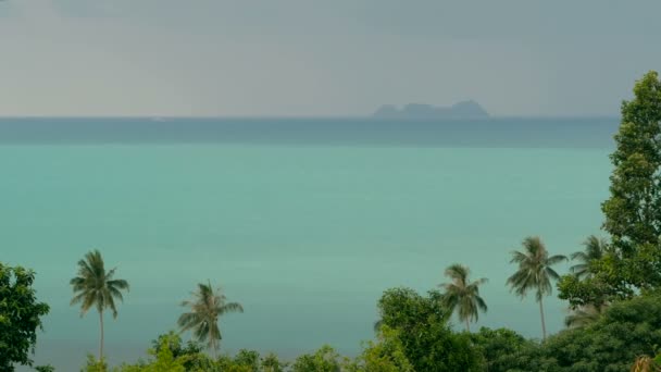 Екзотичні кокосові пальми рухаються на вітрі. Тропічний морський пейзаж. Ідилічний райський острів пляж . — стокове відео