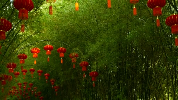 Filas de faroles rojos de estilo tradicional chino colgando del arco del túnel de bambú . — Vídeos de Stock