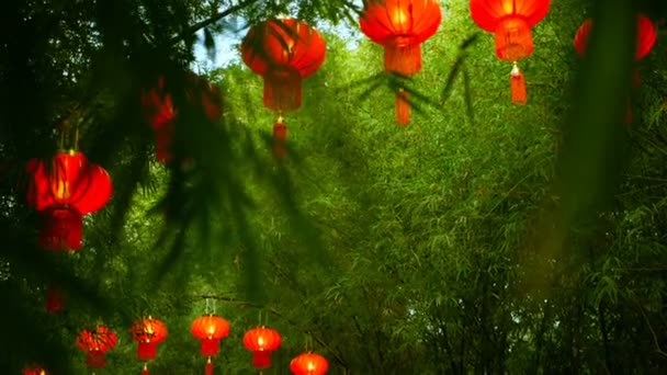 竹ツリー トンネル アーチに伝統的な中国様式の赤い提灯の列 中国旧正月祭装飾ランプです 東洋の熱帯庭 竹の新鮮な緑の葉の背景 — ストック動画
