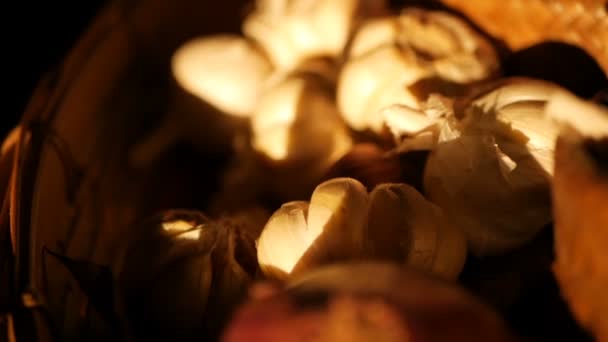 Biologische plantaardige palet in de stralen van de zon. Vintage rustieke nog leven van sjalotten, kruiden en knoflook — Stockvideo