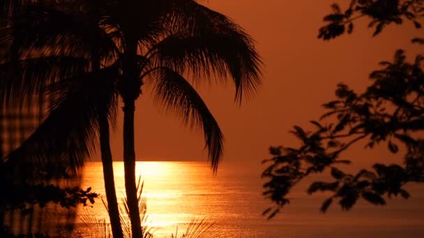 Palm stromy siluety na tropické pláži na ostré slunce. Exotické stromy a velké oranžové slunce.