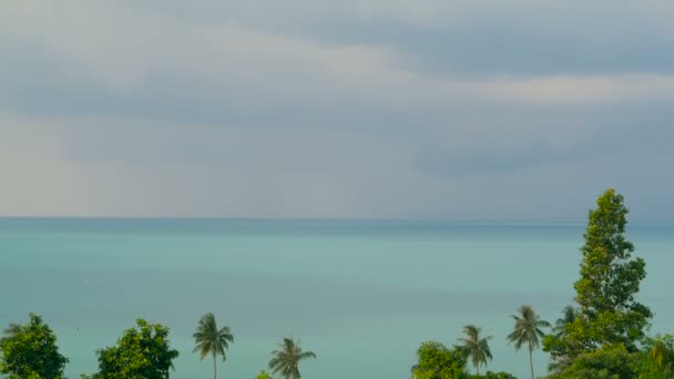 Palmeras de coco exóticas moviéndose en el viento. Paisaje marino tropical. Idílico paraíso isla playa . — Vídeo de stock