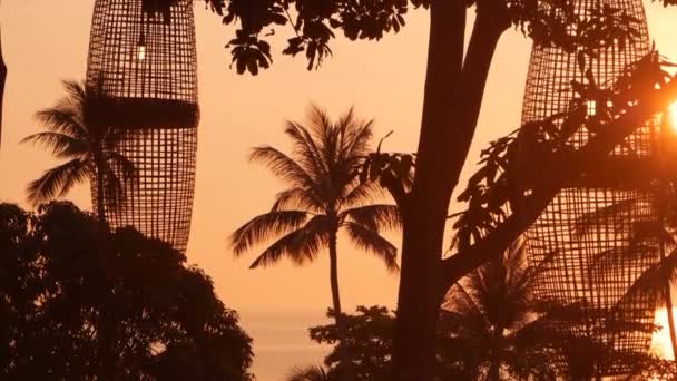 Siluetas de palmeras en la playa tropical a la hora del atardecer. Árboles exóticos y gran sol naranja . — Vídeos de Stock