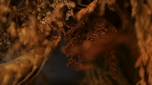 Close-up van stilleven oren voor achtergrond. Boeket uit droge gouden spikes van granen. — Stockvideo