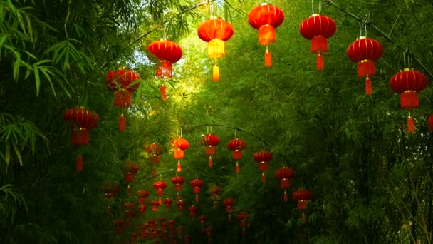 Rader av traditionell kinesisk stil röda lyktor hängande på bambu träd tunnel arch. — Stockvideo