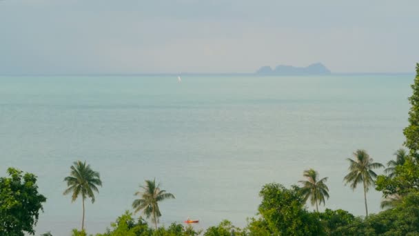 이국적인 코코넛 야 자 나무는 바람에 이동입니다. 열 대 바다 풍경입니다. 목가적인 낙원 섬 해변. — 비디오