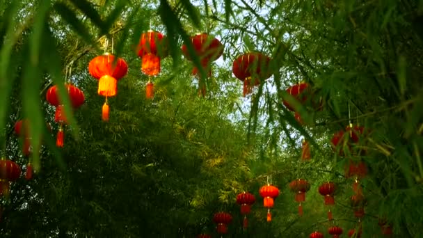 Rows of traditional chinese style red lanterns hanging on bamboo tree tunnel arch. — Stock Video