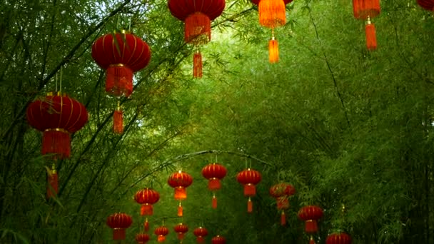 Linhas de lanternas vermelhas de estilo chinês tradicional penduradas no arco do túnel da árvore de bambu . — Vídeo de Stock