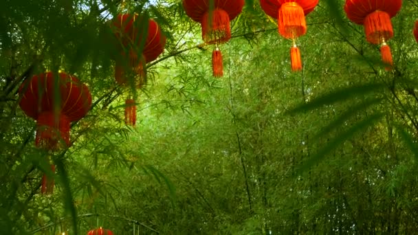 Rijen van traditionele chinese stijl rode lantaarns hangen bamboe boom tunnel boog. — Stockvideo