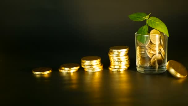 Eficiencia administrativa. Montones de monedas de oro cerca de vidrio lleno y hoja verde de brote sobre fondo negro. Éxito . — Vídeos de Stock