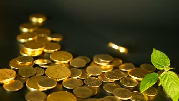 Gouden munten op zwarte achtergrond. Succes van zakelijke financiën, investeringen, aanmunting van ideeën, rijkdom, bancaire concept — Stockvideo