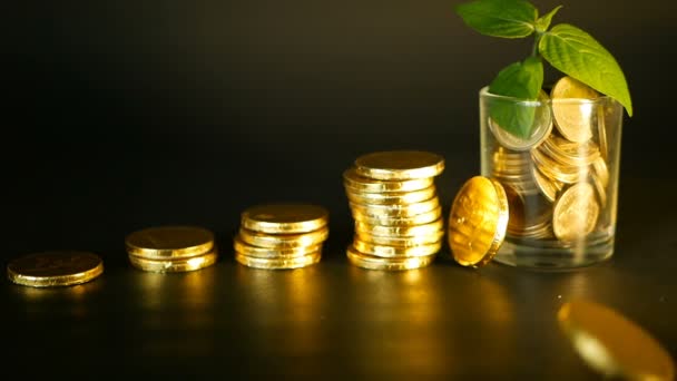 Beheer de efficiëntie. Stapels van gouden munten in de buurt van vol glas en groene blad van sprout op zwarte achtergrond. Succes. — Stockvideo