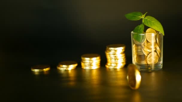 Managementeffizienz. Stapel goldener Münzen in der Nähe von vollem Glas und grünem Keimling auf schwarzem Hintergrund. Erfolg. — Stockvideo