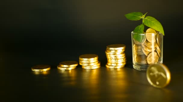 Beheer de efficiëntie. Stapels van gouden munten in de buurt van vol glas en groene blad van sprout op zwarte achtergrond. Succes. — Stockvideo