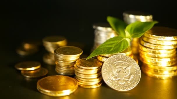 Arany érmék és zöld levél, a hajtás a fekete háttér. Siker, a pénzügyek, a jelzálog és a banki fogalmak — Stock videók