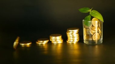 Yönetimi verimliliği. Altın sikke dolu cam ve filiz siyah zemin üzerine yeşil yaprak yığınları. Başarı.