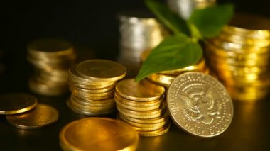 Altın sikke ve filiz siyah zemin üzerine yeşil yaprak. Kredi, mevduat, zenginlik, kavramları bankacılık için plan kaydetme başarısını finans iş, ipotek ve gayrimenkul yatırım, emeklilik,.