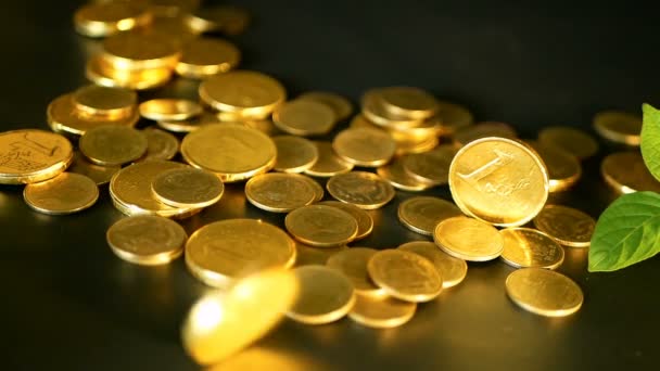 Eficiencia administrativa. Monedas doradas y hoja verde de brote sobre fondo negro. Girando, girando, girando centavo — Vídeo de stock