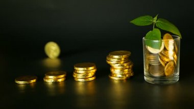 Yönetimi verimliliği. Altın sikke dolu cam ve filiz siyah zemin üzerine yeşil yaprak yığınları. Başarı.