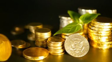 Altın sikke ve filiz siyah zemin üzerine yeşil yaprak. Başarı, finans iş, ipotek ve kavramlar bankacılık