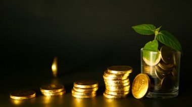 Yönetimi verimliliği. Altın sikke dolu cam ve filiz siyah zemin üzerine yeşil yaprak yığınları. Başarı.