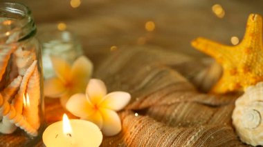 Deniz kabuklarını, mercanlar, deniz öğeleri mum ışıklı, plumeria frangipani çiçek dekorasyonu için ile dolu cam kavanoz