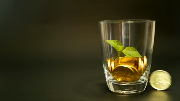 Monete d'oro in vaso di vetro e foglia verde di germoglio su sfondo nero. Rotazione, torsione, vorticoso, filatura penny . — Video Stock