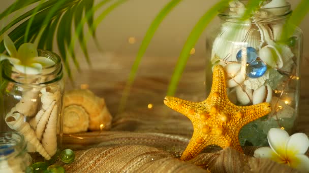 Glasburk fylld med snäckskal, koraller, Marina objekt med bokeh lampor, sea star plumeria frangipani blommor för inredning — Stockvideo
