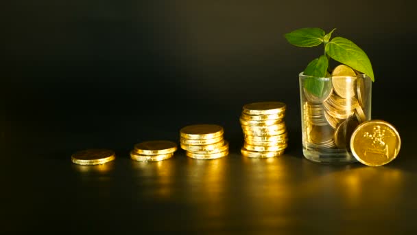 Beheer de efficiëntie. Stapels van gouden munten in de buurt van vol glas en groene blad van sprout op zwarte achtergrond. Succes. — Stockvideo