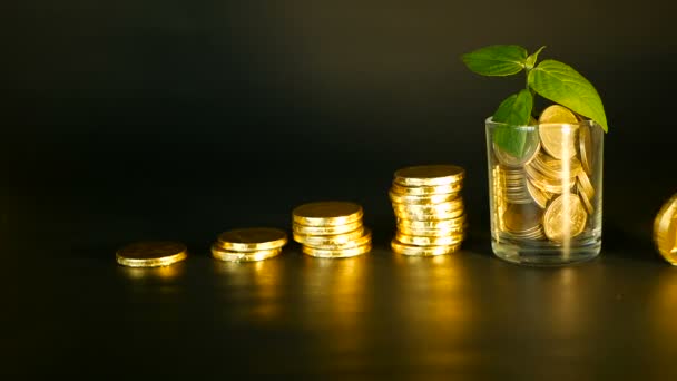 Management efficiency. Stacks of golden coins near full glass and green leaf of sprout on black background. Success. — Stock Video