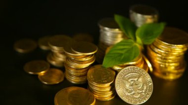 Altın sikke ve filiz siyah zemin üzerine yeşil yaprak. Başarı, finans iş, ipotek ve kavramlar bankacılık
