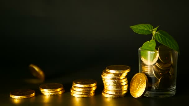 Management efficiency. Stacks of golden coins near full glass and green leaf of sprout on black background. Success. — Stock Video