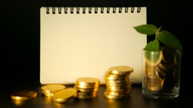 Yönetimi verimliliği. Altın sikke dolu cam ve filiz siyah zemin üzerine yeşil yaprak yığınları. Başarı.