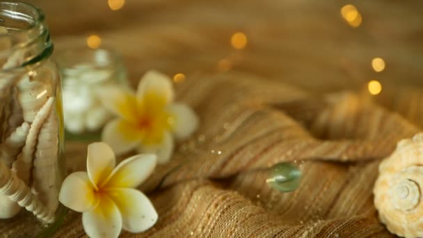 Glasgefäß gefüllt mit Muscheln, Korallen, Marineartikeln mit Bokeh-Lichtern, Plumeria frangipani Blumen als Dekor — Stockvideo