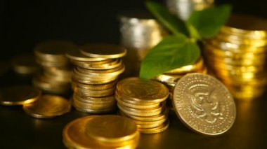 Altın sikke ve filiz siyah zemin üzerine yeşil yaprak. Başarı, finans iş, ipotek ve kavramlar bankacılık