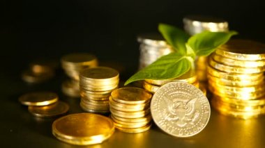 Altın sikke ve filiz siyah zemin üzerine yeşil yaprak. Başarı, finans iş, ipotek ve kavramlar bankacılık