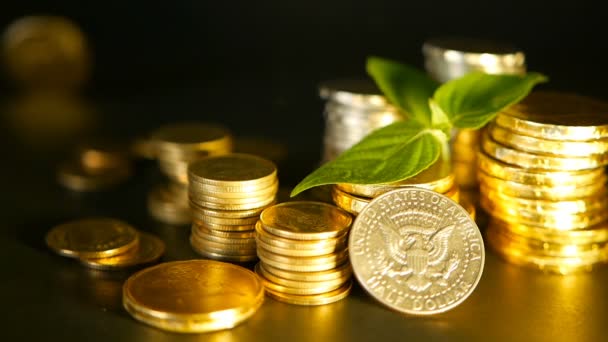 Gouden munten en groene blad van sprout op zwarte achtergrond. Succes van Financiën bedrijfs-, hypotheek- en bancaire concepten — Stockvideo