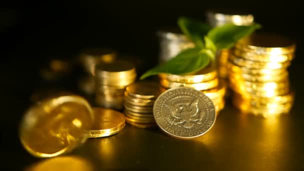 Gyllene mynt och gröna blad av spira på svart bakgrund. Framgången för finance business, inteckning och banking begrepp — Stockvideo