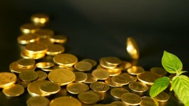 Siyah zemin üzerine altın sikke. Finans iş, yatırım, fikir, servet, bankacılık kavramı para kazanma başarısı