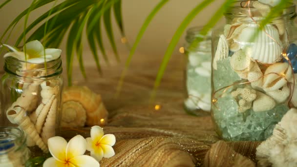 Γυάλινο βάζο γεμάτο με κοχύλια, κοράλλια, θαλάσσια είδη με φώτα bokeh, Πλουμέρια Φραντζιπάνι λουλούδια για διακόσμηση — Αρχείο Βίντεο