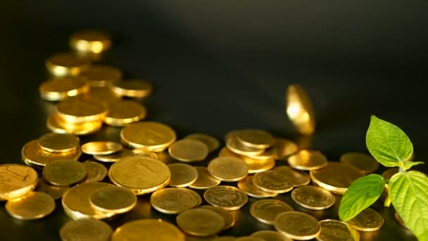 Golden coins on black background. Success of finance business, investment,monetization of ideas, wealth, banking concept — Stock Video