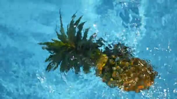 Ananas flytande i blå vatten i poolen. Friska Raw ekologisk mat. Saftiga frukter. Exotiska tropiska bakgrunden — Stockvideo