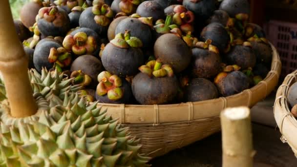 Smíšené sezóny tropické sladké šťavnaté ovoce, místní trh Thajsko. Velké Monthong Durian a mangostanu